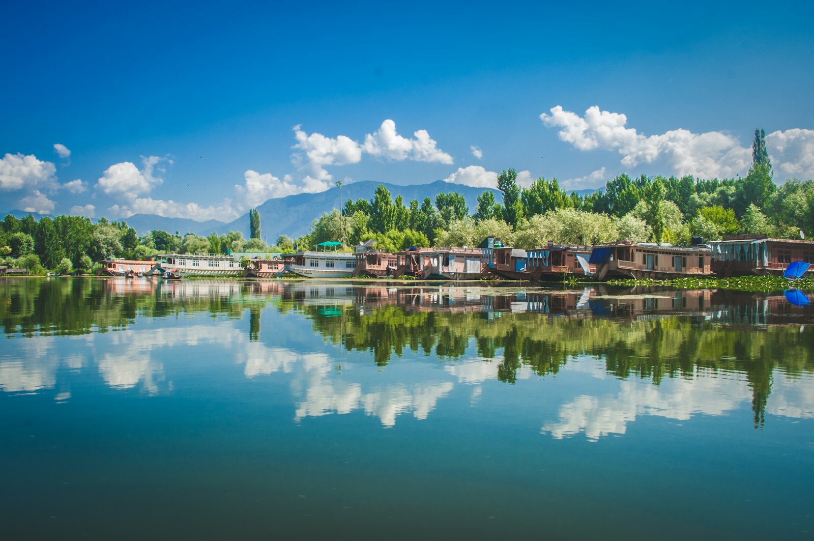 A Morning in Downtown Srinagar
