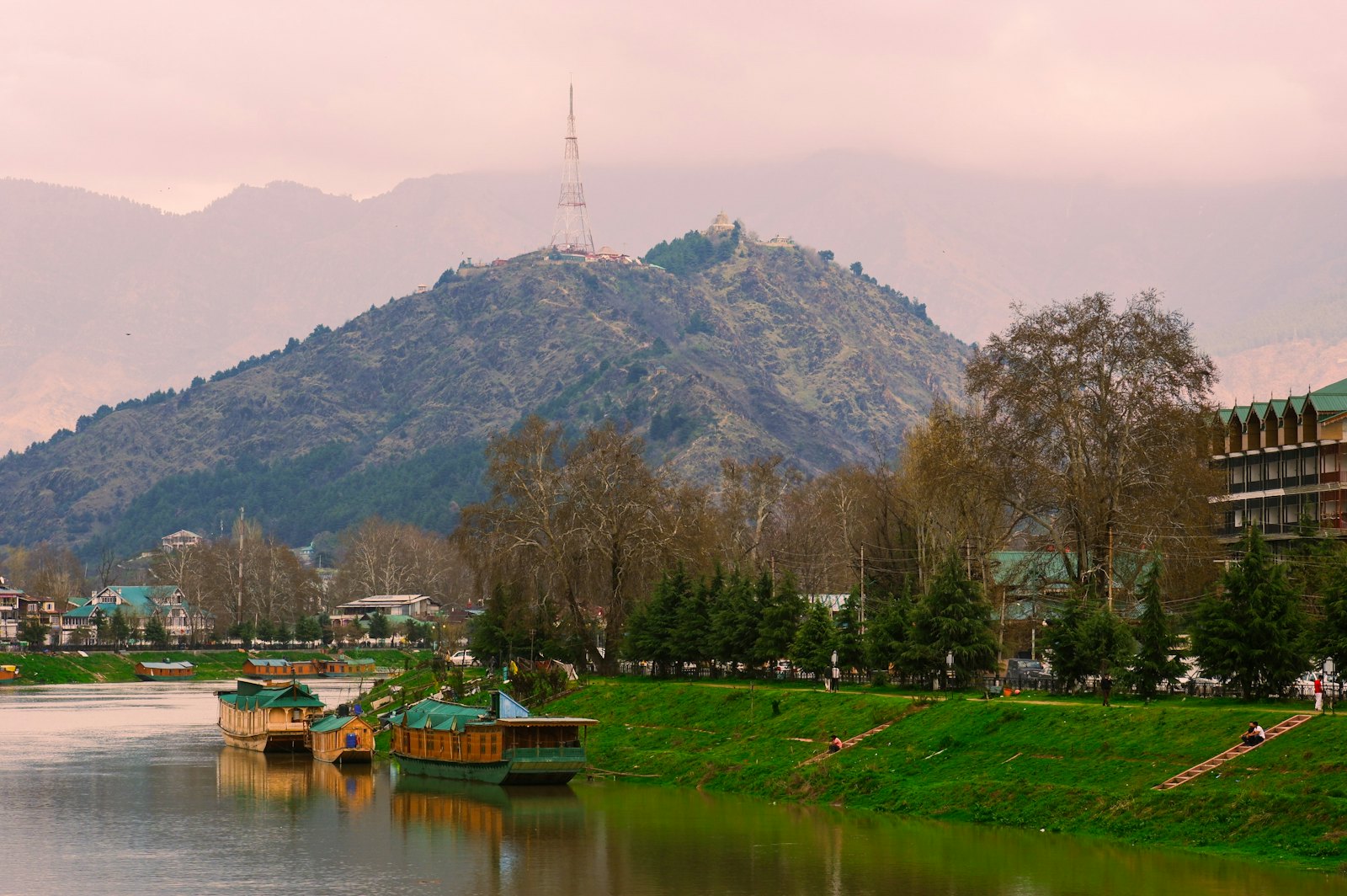 Temple & Shrine Tours