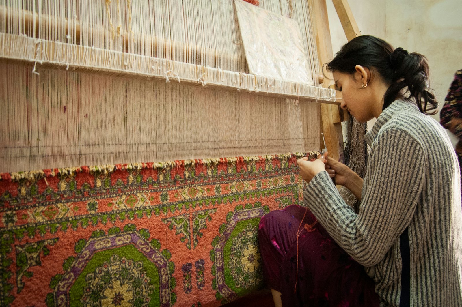 The Last Weavers of Pashmina