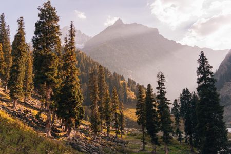 🏔️ Discover the True Beauty of Sonmarg, Kashmir! 🌄